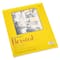 Strathmore® 300 Series Bristol Smooth Pad